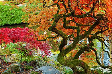 《第一后裔》绝美新皮肤展示视频 非常吸引人！