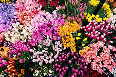 《飞向月球》续作《火星孤征》公布 支持中文配音