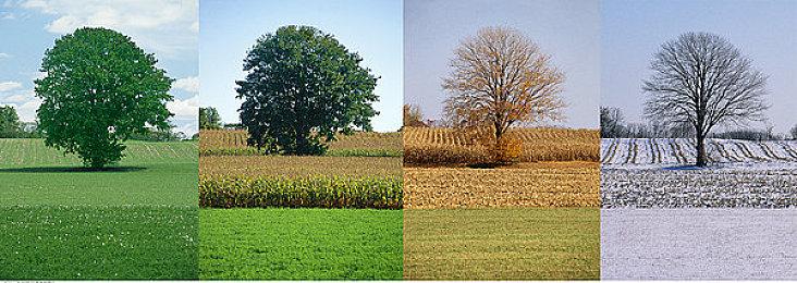 《最后的生还者2：重制版》上市预告片 游戏已正式发售